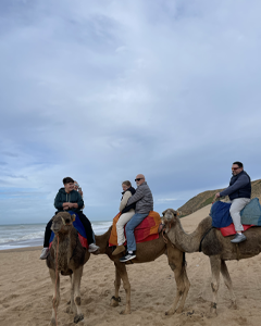 Tangier Tour Guide