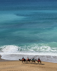 Tangier Shore excursions
