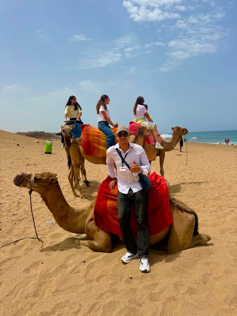 Camels on the Atlantic coast near Tangier